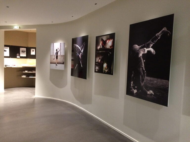 z yhall POLE SUD 768x576