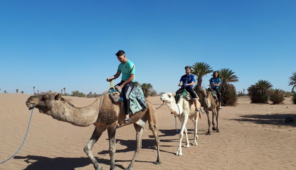 Les jeunes de la Jeep en séjour éducatif au Maroc.