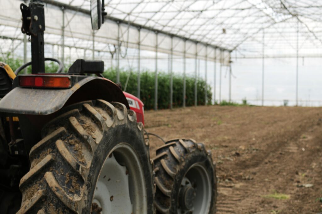 Dans la serre, des plants ont été récoltés et il faut préparer le sol à de nouvelles plantations