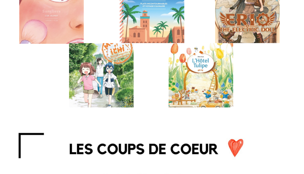Coups de coeur médiathèque-dec25