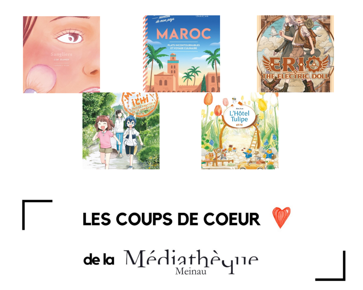 Les coups de cœur de la Médiathèque Meinau – Partie II