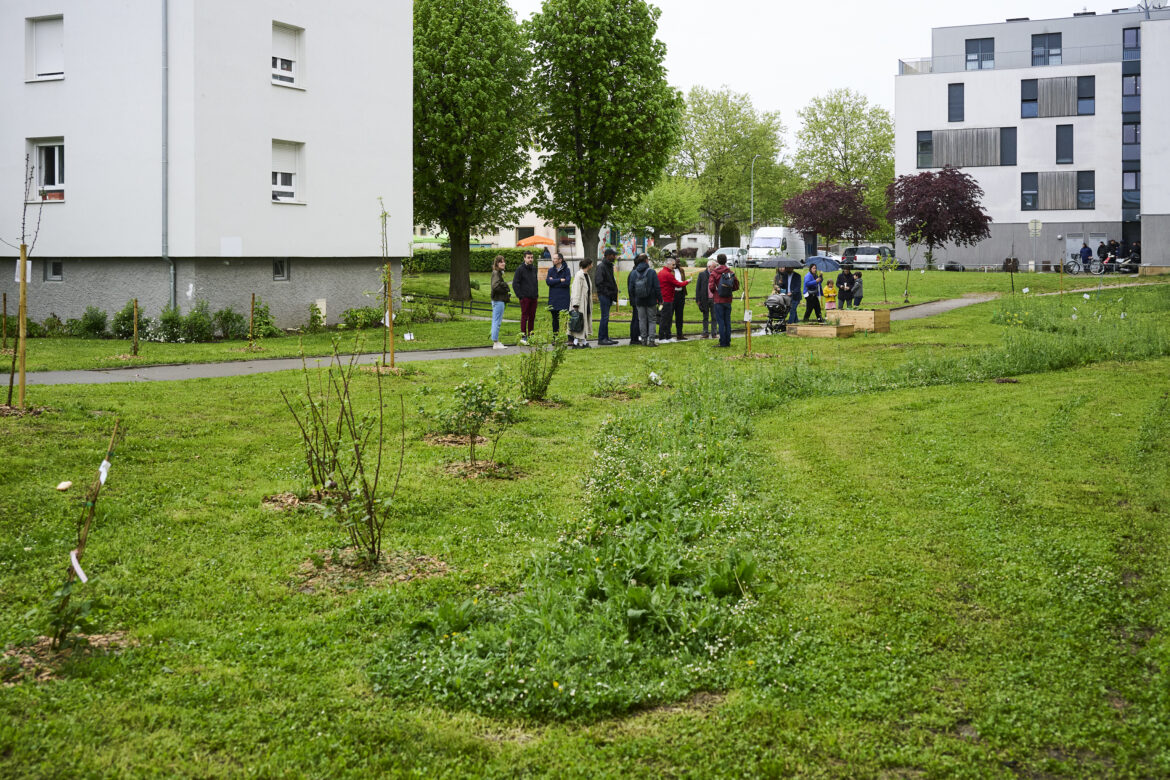 Un jardin-forêt pousse à la Meinau