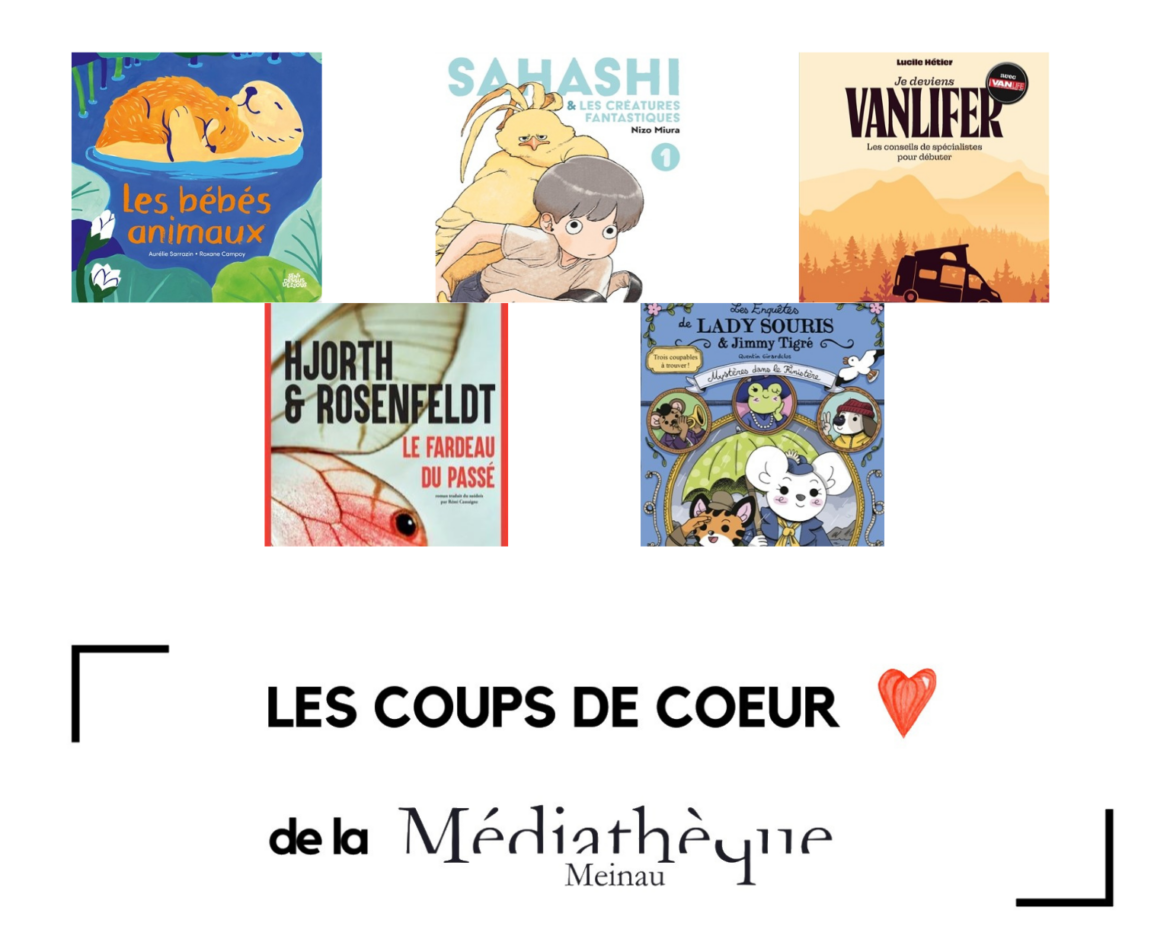 Les coups de cœur de la Médiathèque Meinau – Partie I