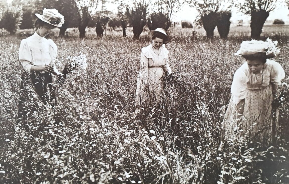 Mais, pourquoi la « Plaine des Bouchers »