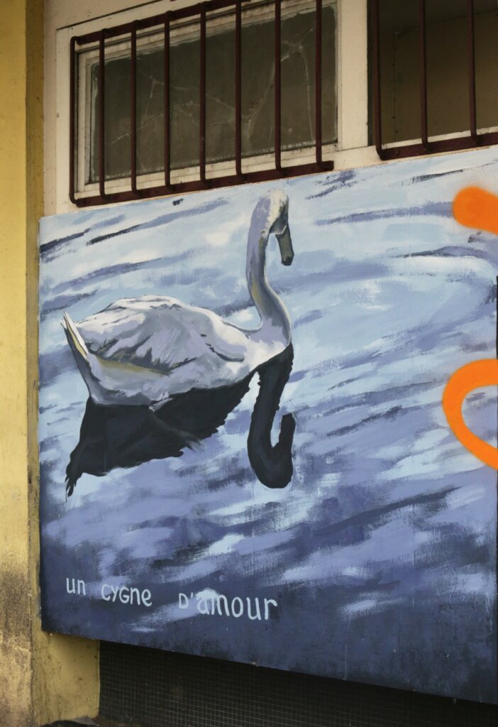 © Hayva Wernert | MNO